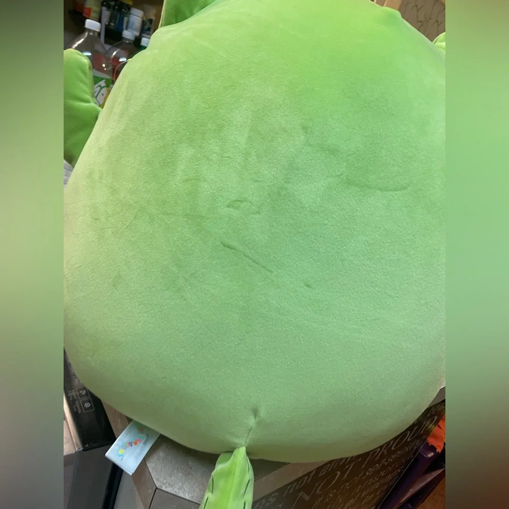 Squishmallows 16 Inch Ms. Miss The Green Cactus Cat